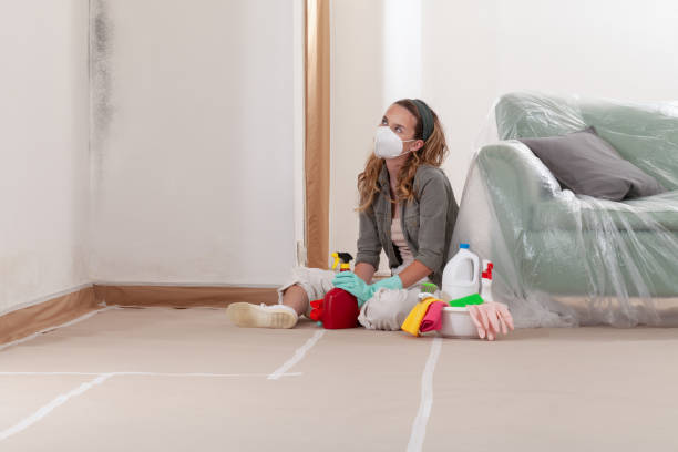 Reliable Mold Remediation contractor in Fruitport, MI by WQB Mold Removal